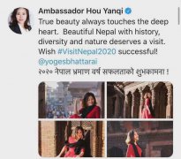 70后中国女大使“刷屏”